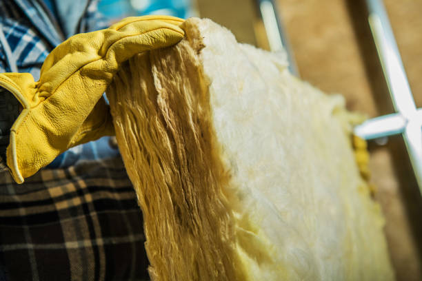 Best Geographic-Specific Insulation Services in Perry Hall, MD