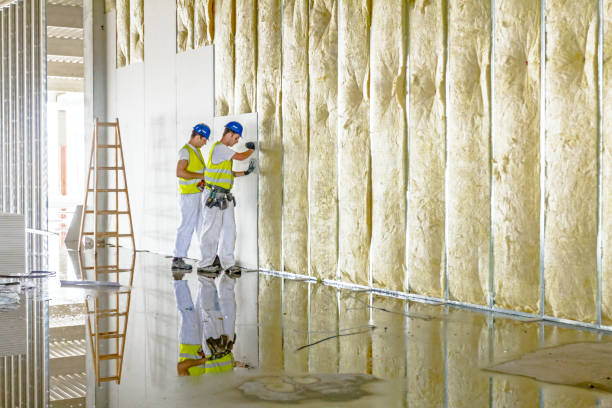 Best Geographic-Specific Insulation Services in Perry Hall, MD